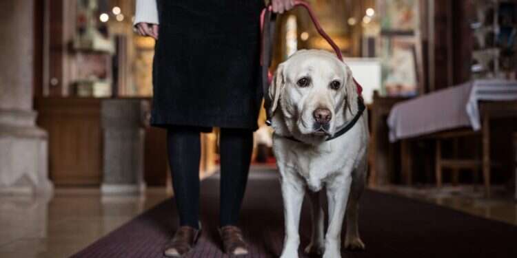 צילום: שאטרסטוק