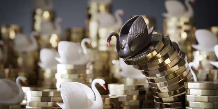 שתי משפחות מקצות הסקאלה של החברה הישראלית נפגשות באולם החתונות המפואר שבמרכזו אגם ברבורים .  צילום: שאטרסטוק