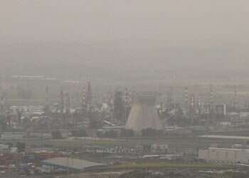 צילום: הרצי שפירא