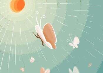 איור: נעמה להב