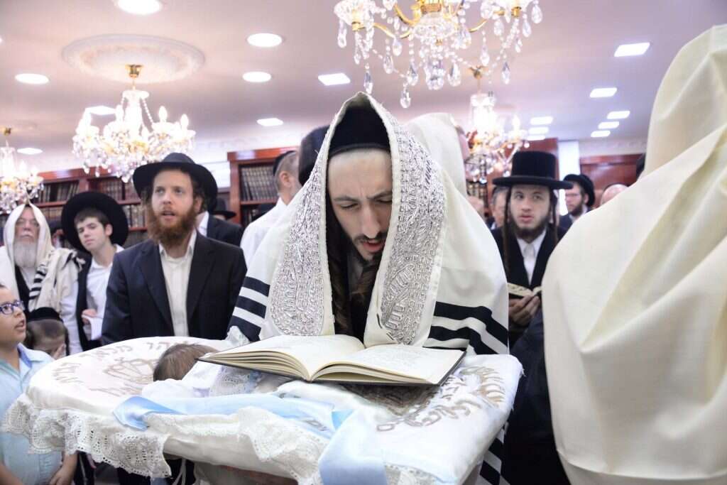 האדמו צילום: שוקי לרר - בחדרי חרדים