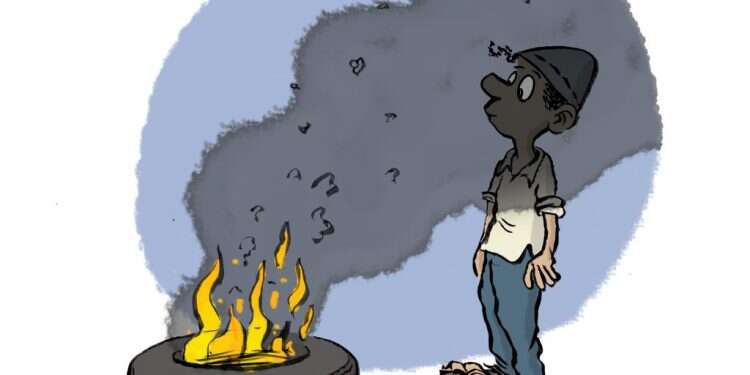 איור: שי צ'רקה איור: שי צ'רקה