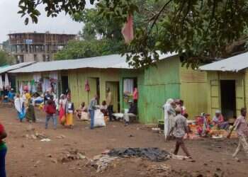 צילום: אליהו בירנבוים