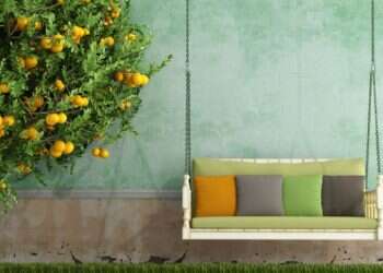 הטרנד הכי עדכני בעיצוב הבית