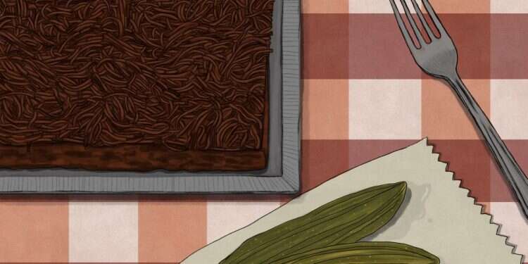 איור: שרון ארדיטי איור: שרון ארדיטי