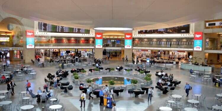 צילום: יוסי זליגר