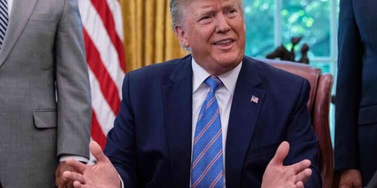 דונלד טראמפ. צילום: AFP צילום: AFP