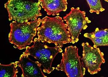 צילום: ויקימדיה