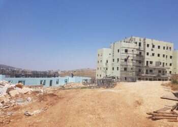 צילום: איתמר יתיב