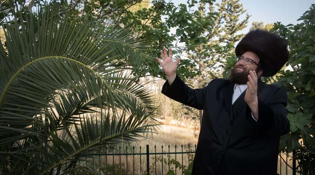 צילום: נעם ריבקין פנטון, פלאש 90