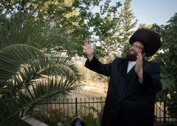 צילום: נעם ריבקין פנטון, פלאש 90