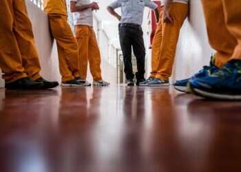 צילום: דן חיימוביץ