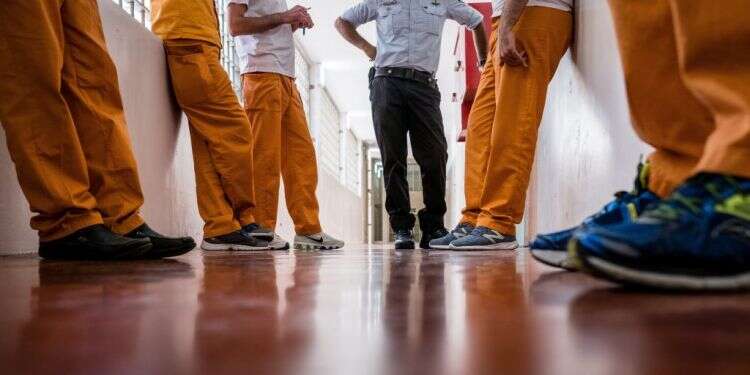 צילום: דן חיימוביץ