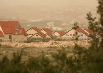 צילום: מרים צחי