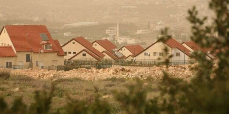 תקוע. צילום: מרים צחי צילום: מרים צחי