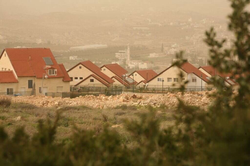 צילום: מרים צחי