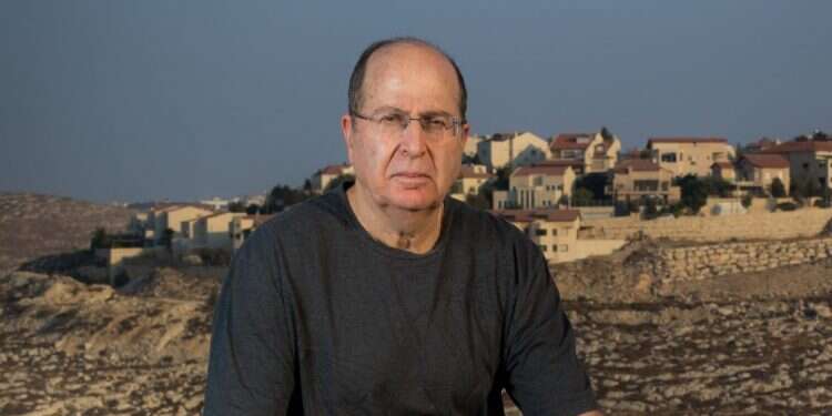 בוגי יעלון. צילום: אריק סולטן צילום: אריק סולטן