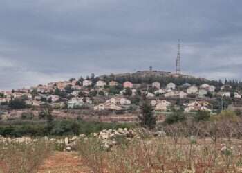 צילום: שאטרסטוק