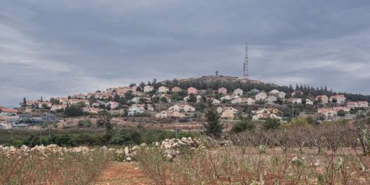 צילום: שאטרסטוק