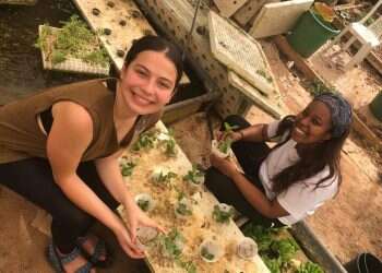 "החזון הוא מהפכה בחקלאות": יישומון מגייס מתנדבים למשקים