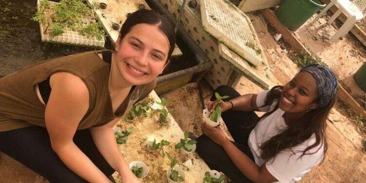 מתנדבות במשק "החזון הוא מהפכה בחקלאות": יישומון מגייס מתנדבים למשקים