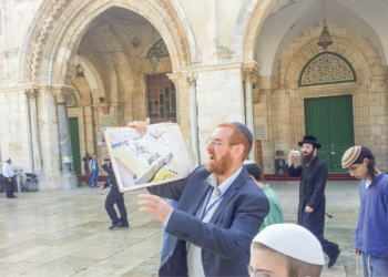 צילום: ארנון סגל