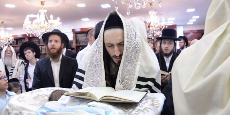 האדמו צילום: שוקי לרר - בחדרי חרדים