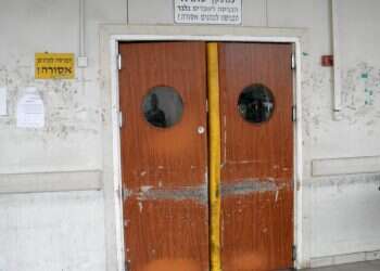 צילום: אריאל פלמון