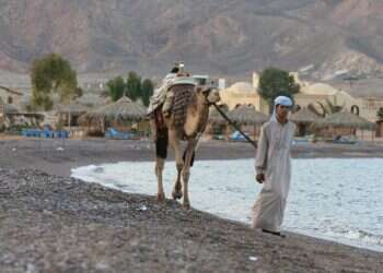 צילום: יוסי זמיר, פלאש 90