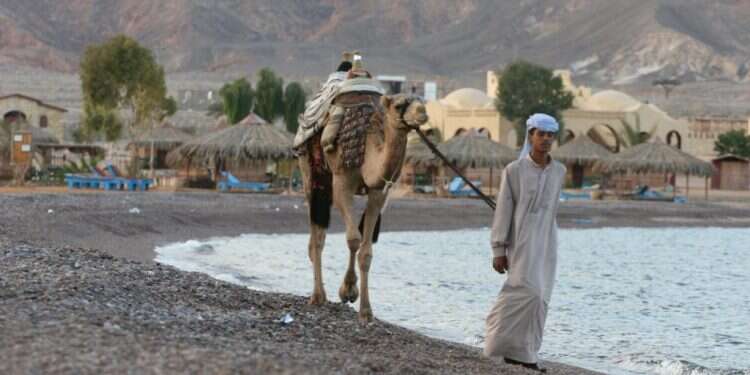 חוף הים בסיני. צילום: יוסי זמיר, פלאש 90 צילום: יוסי זמיר, פלאש 90