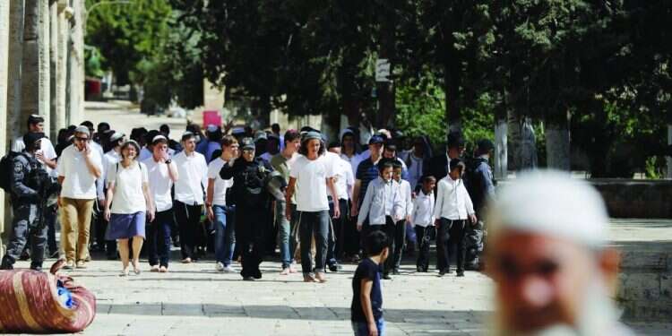 צילום: AFP צילום: AFP