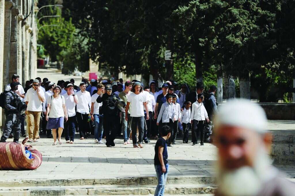 צילום: AFP