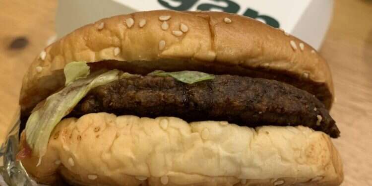 מק ויגן בסניפי מקדונלד'ס נבחרים בלבד אם אין בשר