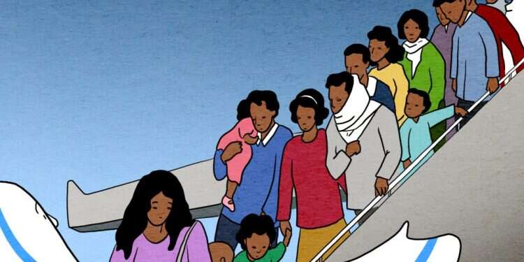 איור: נעמה להב איור: נעמה להב