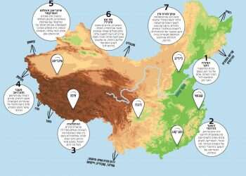 איור: שאטרסטוק