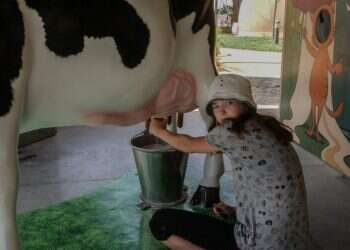 המדריך להורה המותש: מרכזי המבקרים המגניבים ביותר הקיץ