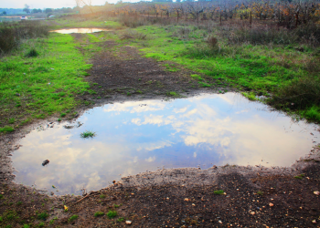 תהל רטוביץ', פיסת שמיים, 2018. מתוך כתב העת "דברים בעלמא"