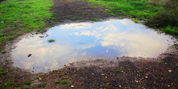 תהל רטוביץ', פיסת שמיים, 2018. מתוך כתב העת "דברים בעלמא"