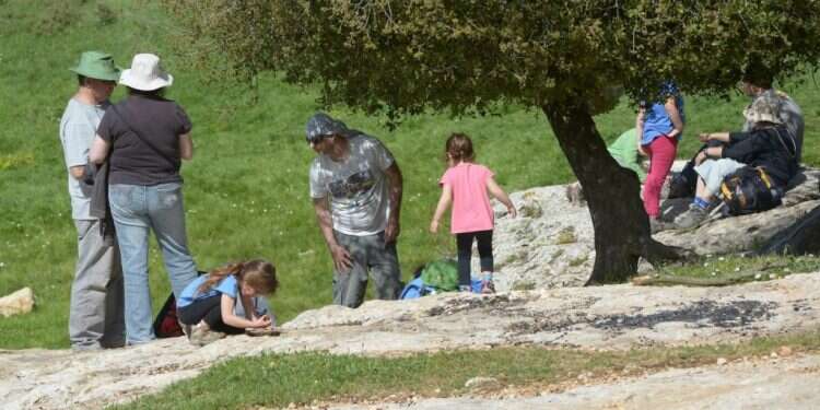 מטיילים בהר מירון. צילום: סוכנות ג'יני צילום: סוכנות ג'יני