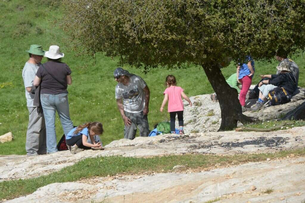 צילום: סוכנות ג'יני