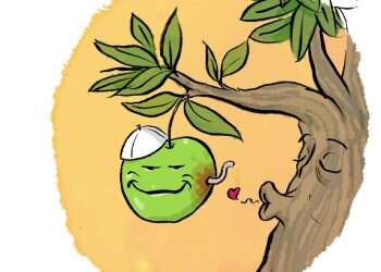 איור: שי צ'רקה