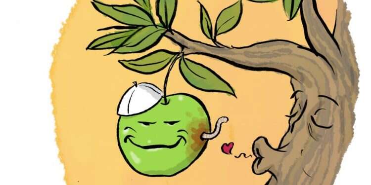 איור: שי צ'רקה