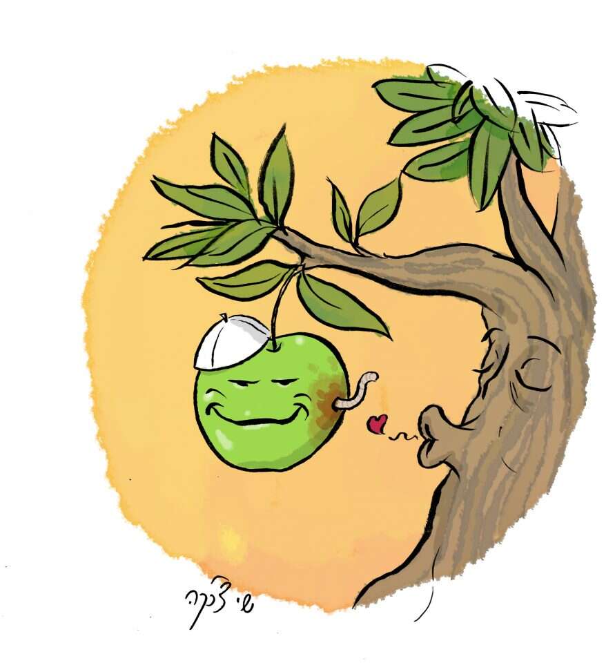 איור: שי צ'רקה