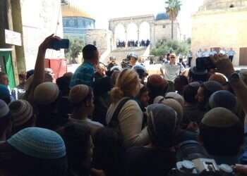 צילום: ארנון סגל