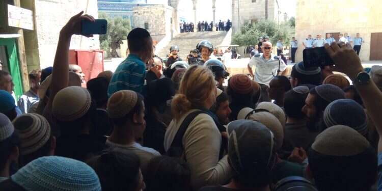 צילום: ארנון סגל