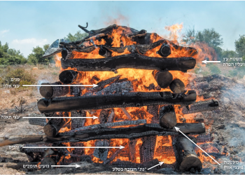 אפר לדורות: לכמה טמאים תספיק פרה אדומה אחת?