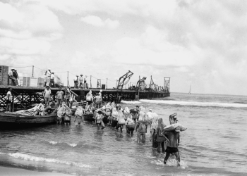 צילום: קלוגר זולטן, לע"מ