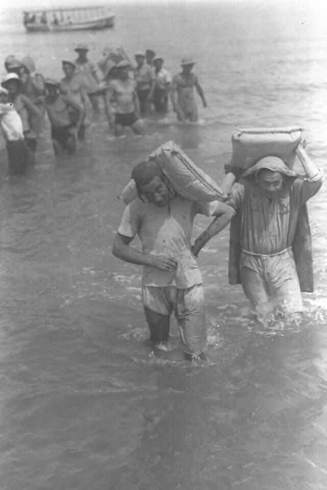 צילום: קלוגר זולטן, לע"מ