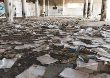 צילום: ליעד שדמי