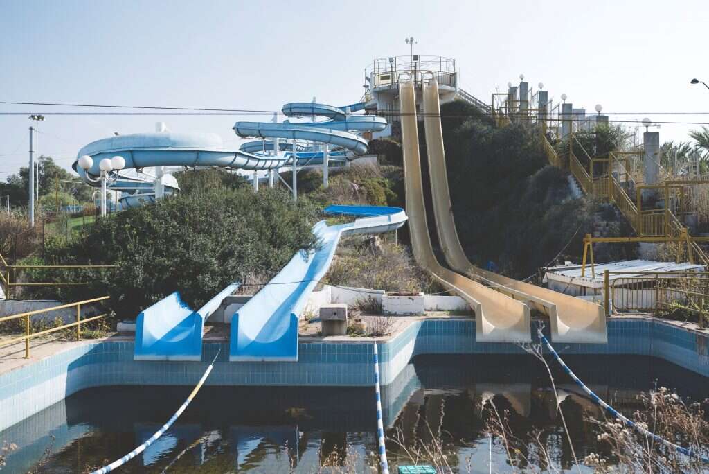 צילום: ליעד שדמי